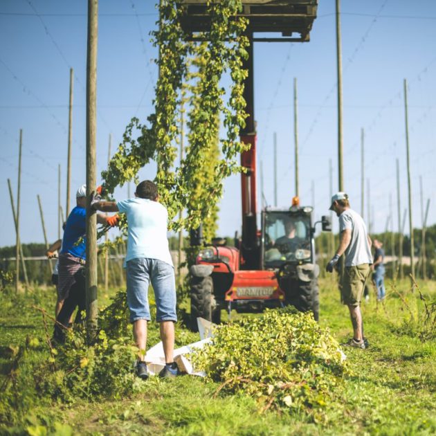 Personnes qui travaillent dans les champs